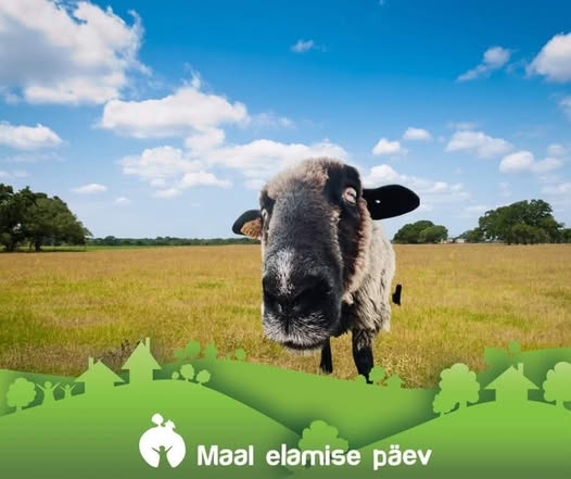 Maal elamise päev_veeb.jpg